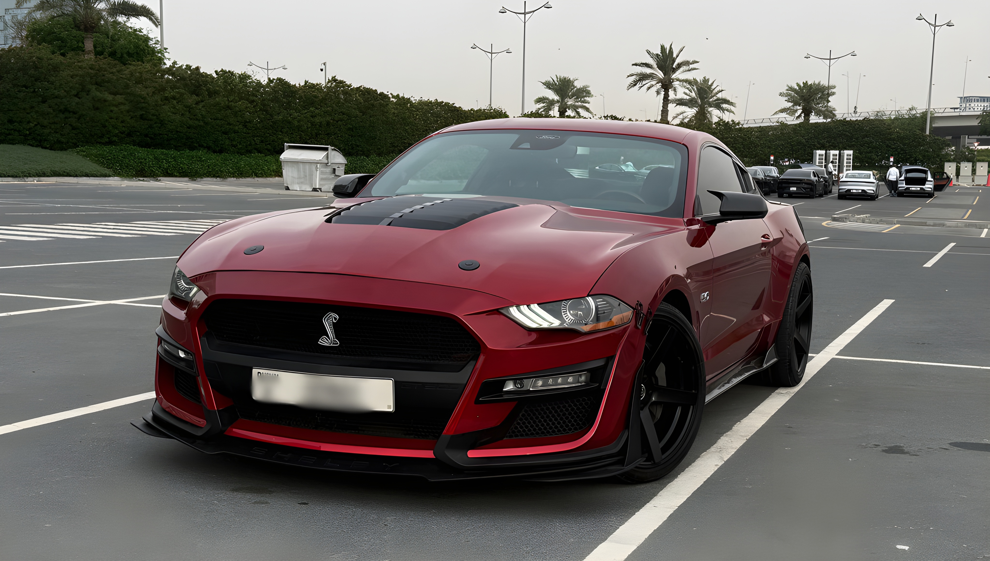 Mustang Rental Dubai